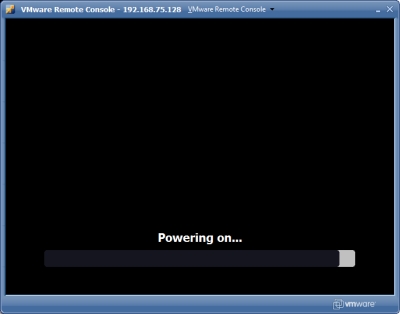 VMware Remote Console 